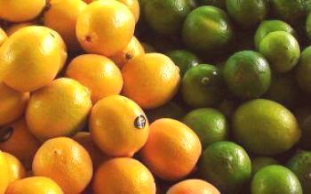 Différences de citron vert et de citron vert: les avantages et les propriétés du citron
