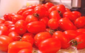 Variedade de tomate ouriço Tomate