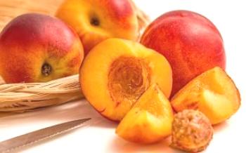 Характеристики на отглеждането на хибрид от праскова и ябълка Праскова