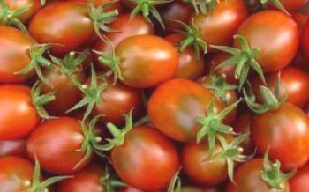 Характеристики на доматите Черно матово домат