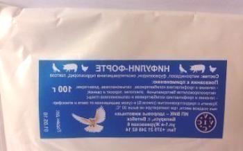 Лечение на птици с nifulinom forte.гълъби