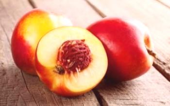 Pestovanie nektárinky a jej vlastnosti Peach