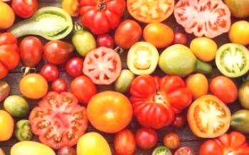 Ние се грижим за доматите на открито

домат