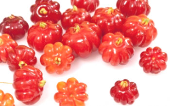 Uzgoj Surinam Cherry Divo je divan

trešnja
