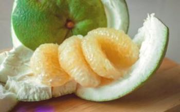 Značajke voća citrusa Citrus