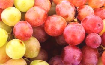 Използването на грозде за подагра