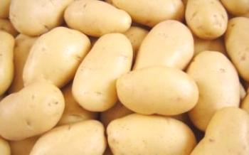 Ako sa dostať Super Harvest Potato Impala

zemiaky