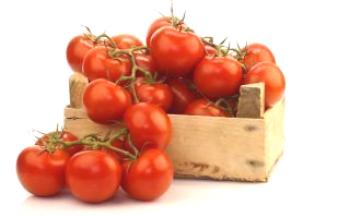 Špičkový dresing z paradajok rôzne druhy hnojív