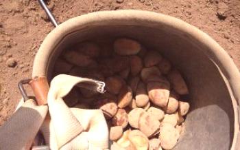 Qual fertilizante é melhor para fazer quando plantar batatas Batatas
