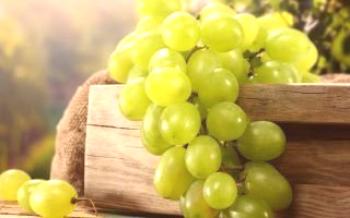 As melhores variedades de uvas verdes