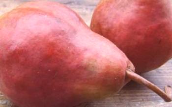 Benefícios e variedades de peras vermelhas