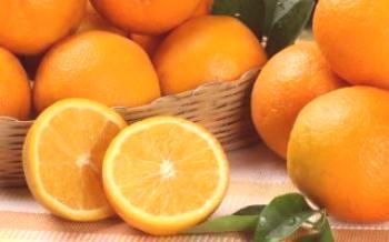 Variedades e variedades de laranjas Citrus