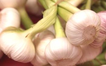 Шта је бели лук и које витамине у њему има?
