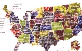 Cluster de uva americana