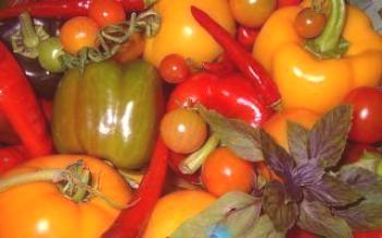 Variedade de variedades de pimenta

Pepper