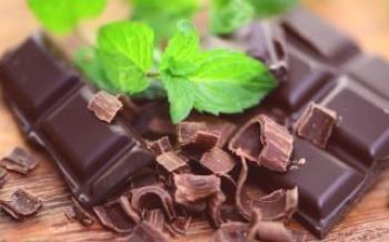 Como crescer e usar chocolate de menta

Hortelã