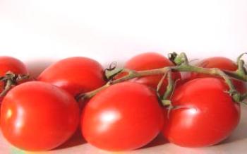 Características do Tomate Creme de Tomate
