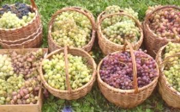 Стойността на параметъра добив на грозде от храста