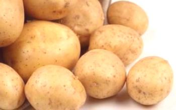 Правилата agrotekti картофи Adretta

картофи