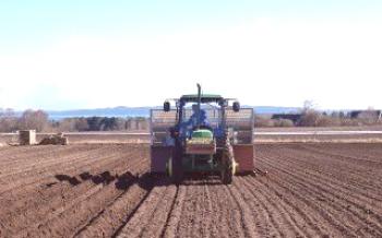 Предварителна обработка на почвата за засаждане на картофи

картофи