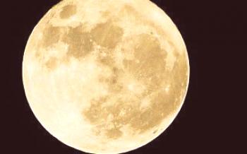 Sementeira Cebola Sev Calendário Lunar