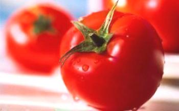 Características e descrição de um grau de tomate Tomate Verlioka