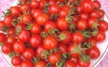 Variedades de Tomate Cereja

Tomate