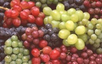O que pode ser dito sobre a forma das uvas