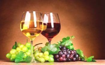 Технически сортове грозде и техните характеристики