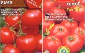Отглеждане на домати Ямал Домат
