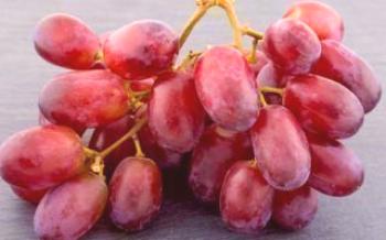 Características da uva escarlate