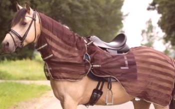 Как да изберем и шият одеяло за коне Коне