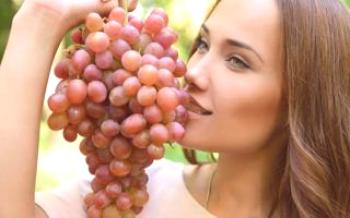 Variedades de uva doce - uma revisão com fotos